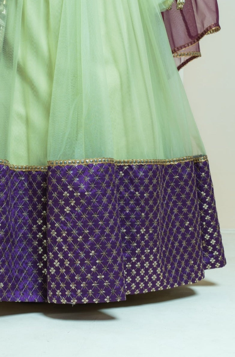 Jade and Purple Sequin Border Lehenga