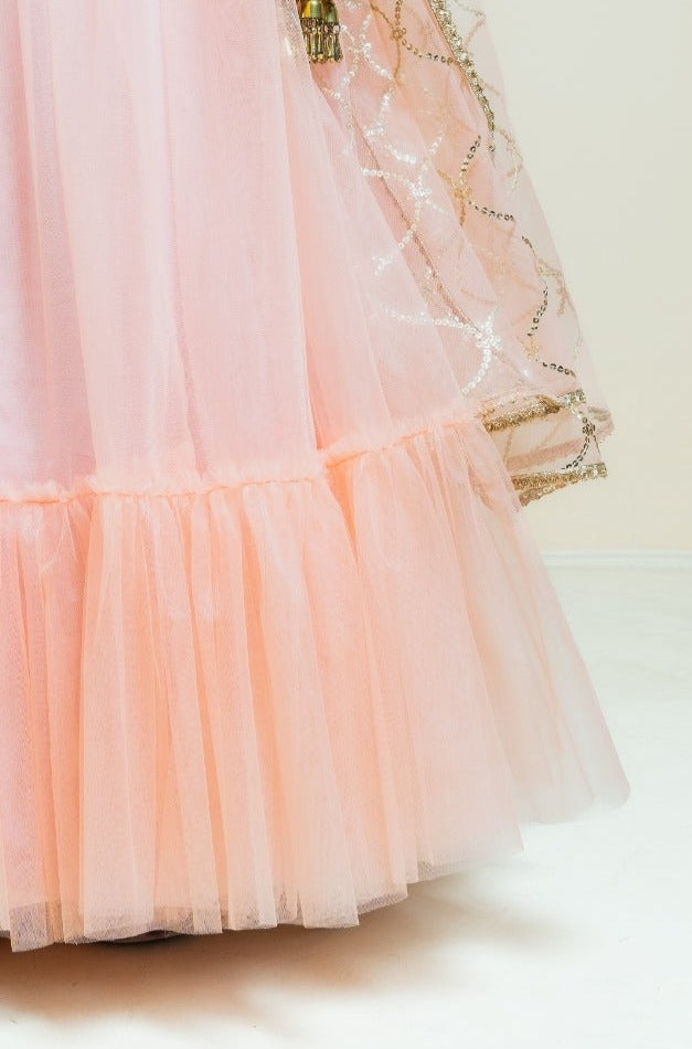 Pastel Peach Sequin Sparkle Lehenga
