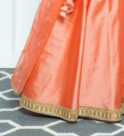 Dreamy Peach Minimalistic Lehenga