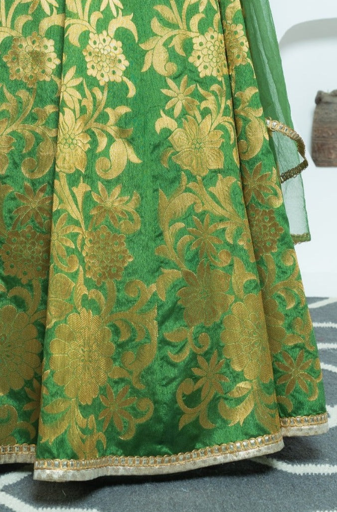 Mehendi Green Banarasi Lehenga