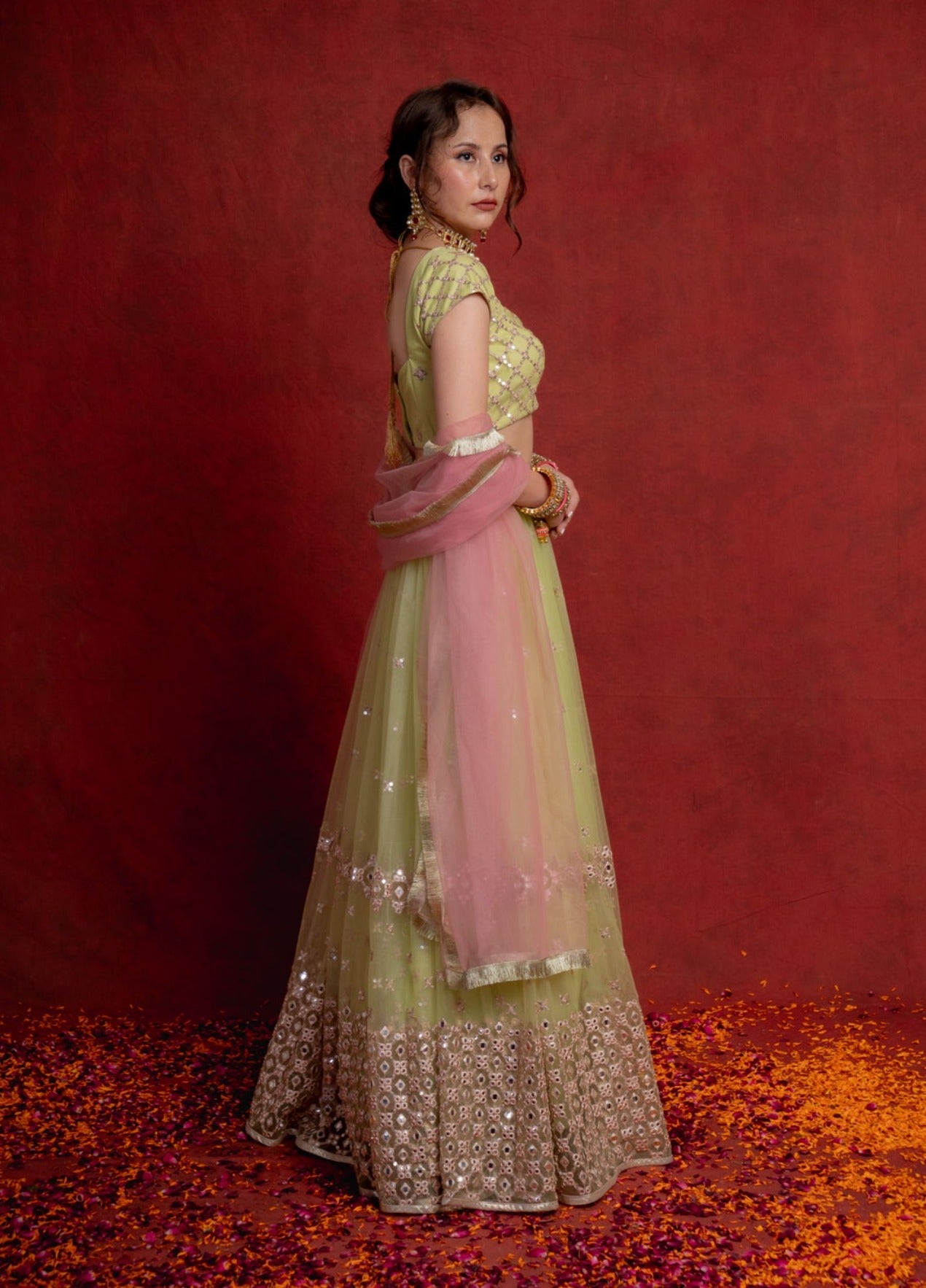 Mint Green and Rouge Pink Trellis Lehenga