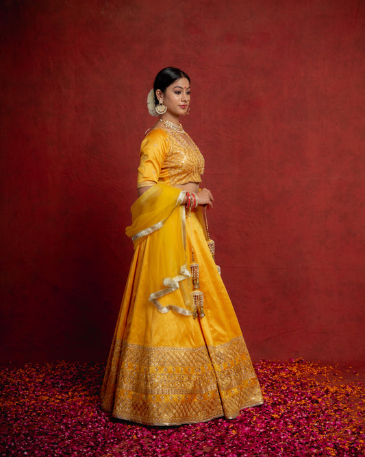 Amber Yellow Zarinama Lehenga