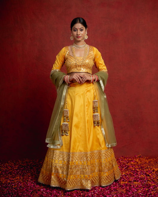 Amber Yellow and Jade Zarinama Lehenga